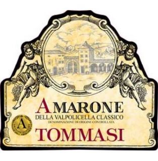 2006 Tommasi Amarone Della Valpolicella Classico Doc 750ml Wine