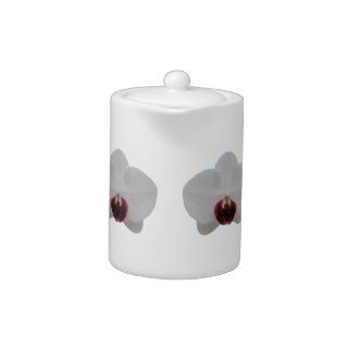 Creamer/Teapot   Ruby Lipped White Orchid