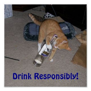 Drink Responsibly Poster