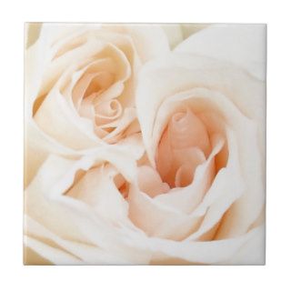White Rose Innocent and Pure Love Tile