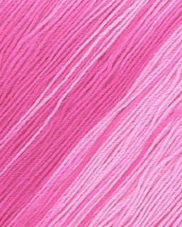 Lorna's Laces Shepherd Sock Yarn 507 Flamingo Stripe