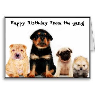 Happy birthday form the gang Puppies greeting card