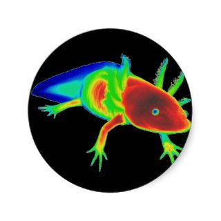 Rainbow Axolotl Stickers