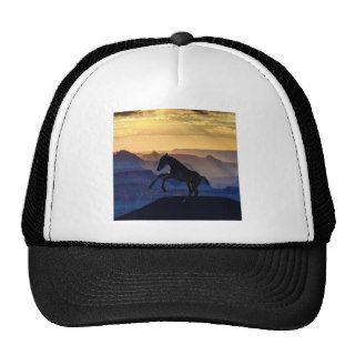 Rearing baby horse and canyons trucker hat
