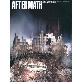 Aftermath World Trade Center Archive Joel Meyerowitz 9780714862125 Books