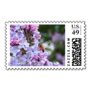 Bee and lilacs   May 09 Postage
