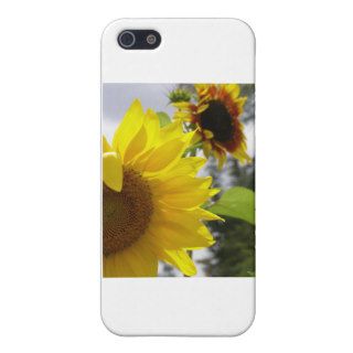 summer begins sandi smith iPhone 5 cover