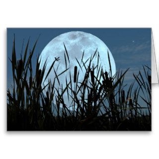 Happy Summer Greeting with Full Moon Card
