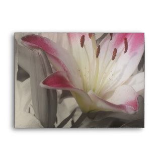 Lily Flower In Black And White Envelopes