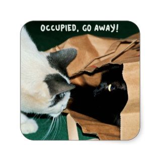 Occupied, Go Away Funny Cats Stickers