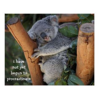 Funny Koala Bear Poster; Procrastination