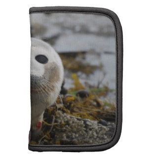 Seal Pup Wallet Folio Planner