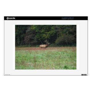 Eight 8 Point Bull Elk in Autumn 15" Laptop Decal