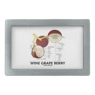Wine Grape Berry (Botanical Anatomy) Belt Buckle