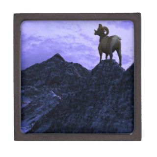 A Bighorn Sheep looks to the next mountain Premium Keepsake Box