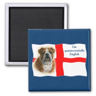 English flag and bulldog Magnet