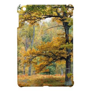 Autumn Old Growth Forest Scottish Highlands iPad Mini Covers