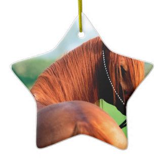 Horse Heres Looking At You Kid Arabian Christmas Tree Ornaments