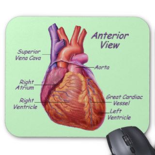 Human Heart Labeled Mousepad