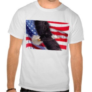 American Eagle and Flag T Shirt