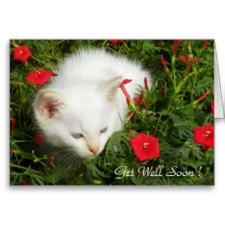 Get Well Soon, I care  Cute Lovely Kitty Greeting Card