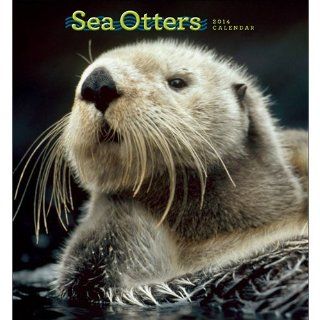 Sea Otters 2014 Wall Calendar 
