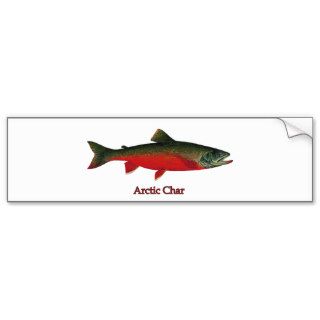 Arctic Char Illustration Bumper Sticker