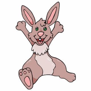 Happy Bunny Rabbit Cartoon Cut Outs