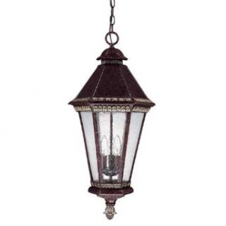 Capital Lighting Fixtures Ashbury Three Light Outdoor Hanging Lantern With A ROYAL BRONZE WITH PEWTER Finish 9995RB    