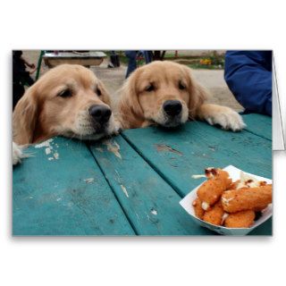 Golden Retriever Birthday Wishes Greeting Cards