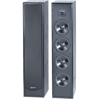 BIC America DV64 6.5 Tower Speaker   Choose Color, Black (BICDV64)