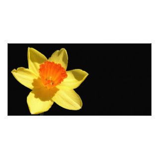 Daffodil (Background Removed) Photo Card Template