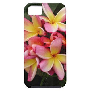 Pink and Yellow Tropical Plumeria Flowers iPhone 5 Cases