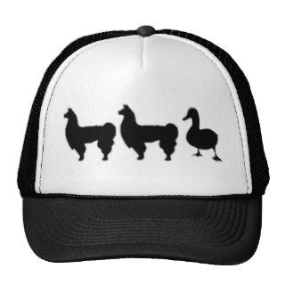 Llama Llama Duck Hats