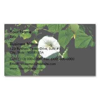Aromatic White wild flowers under the shadow Business Cards