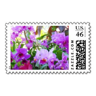 Purple Lilies Flowers Postage Stamp