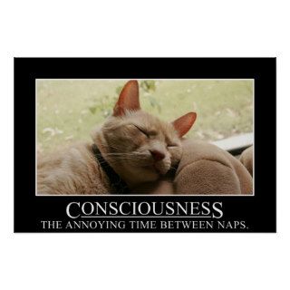 Consciousness the annoying time between naps (S) Print