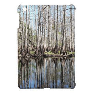 Swamp near Christmas, Florida, USA iPad Mini Cover