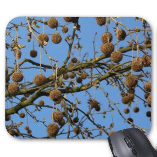 Seed Pods   London Plane Tree Mousemat