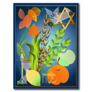 Passover Seder Postcard