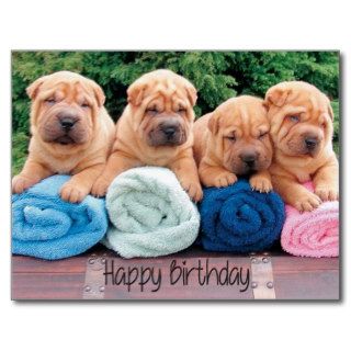 Happy Birthday Chinese Shar Pei Puppy Dog Postcard