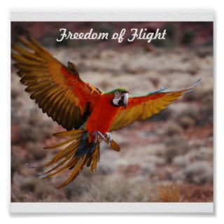 Freedom of Flight Poster
