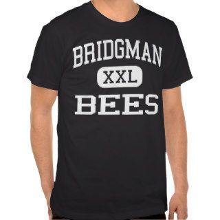 Bridgman   Bees   High School   Bridgman Michigan T shirt