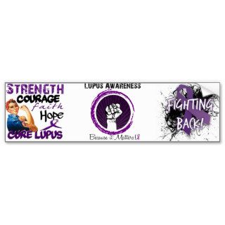 Lupus Awareness.Because it matters Bumper Stickers