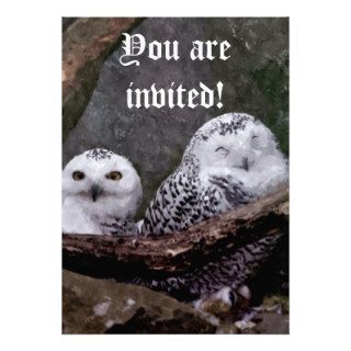 Cute Owls Invitations