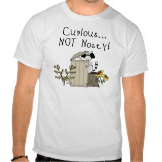 Curious Raccoon Tee Shirts