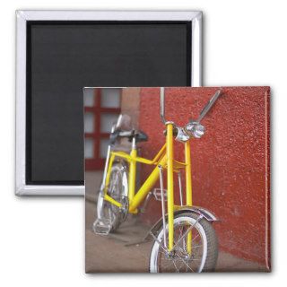 Bicycle Cycle Bicycling Cycling Banana Cruiser 2 Fridge Magnets