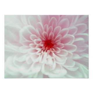Cute Pink red and white Flower Poster