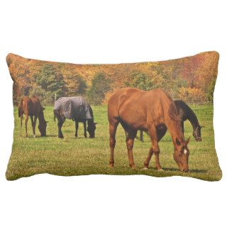 Horses in Autumn Pillows
