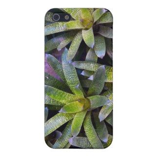 Day of the Triffids Speck iPhone Case Case For iPhone 5